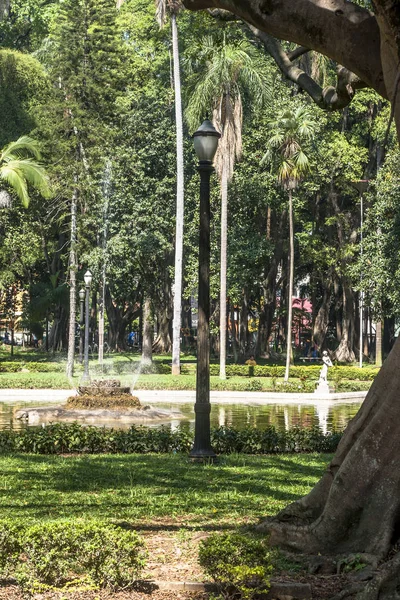 San Paolo Brasile Ottobre 2011 Persone Sul Luz Public Park — Foto Stock