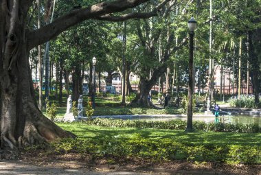 Sao Paulo, Brezilya, 29 Ekim 2011. Sao Paulo şehir merkezindeki Luz Halk Parkı'ndaki insanlar. Burası şehrin ilk halka açık parkı.