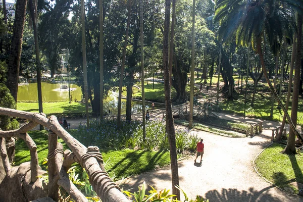 2011年10月29日 巴西圣保罗 圣保罗市中心的卢兹公共公园上的人 这是这个城市的第一个公园 — 图库照片