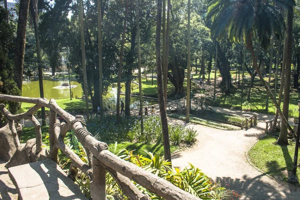 2011年10月29日 巴西圣保罗 圣保罗市中心的卢兹公共公园上的人 这是这个城市的第一个公园 — 图库照片