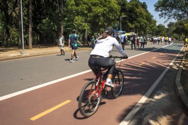 Sao Paulo, Brezilya, 05 Kasım 2011. İnsanlar Yürüyüş, bisiklet ve Ibirapuera Park çalışan, Sao Paulo