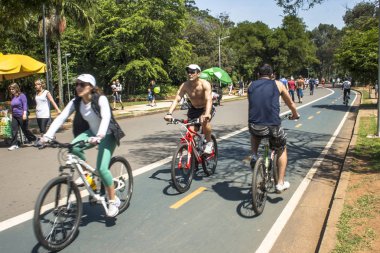 Sao Paulo, Brezilya, 05 Kasım 2011. İnsanlar Yürüyüş, bisiklet ve Ibirapuera Park çalışan, Sao Paulo