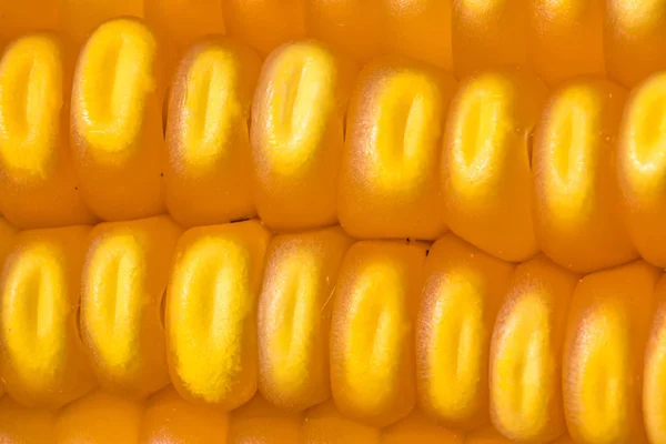 Ears Sweet Corn Pattern Seeds — Stock Photo, Image