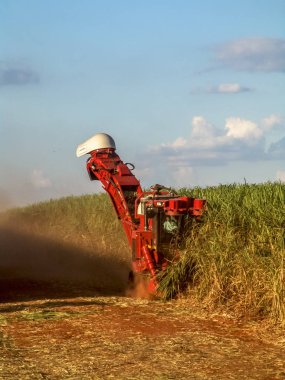 Sao Paulo, Brezilya, 18 Nisan 2007. Brezilya'da şeker kamışı hasadı