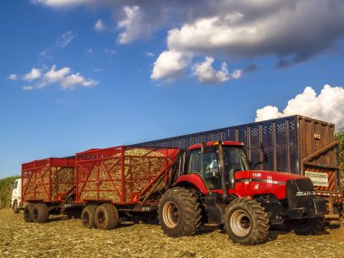 Sao Paulo, Brezilya, 18 Nisan 2007. Şeker kamışı Brezilya'da hasat sonra bir kamyon ayükler