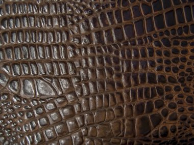 Brezilya'da deri doku arka plan