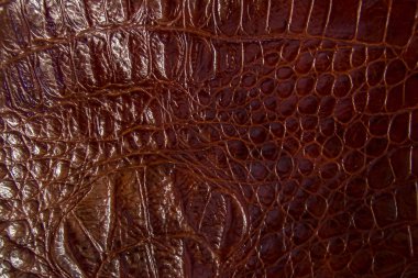 Brezilya'da deri doku arka plan