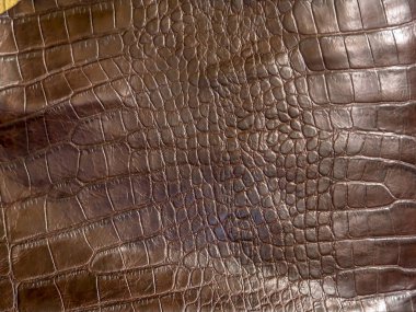 Brezilya'da deri doku arka plan