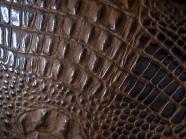 Brezilya'da deri doku arka plan