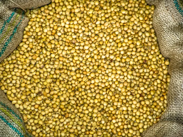 Soybean seeds in bag in Brazil