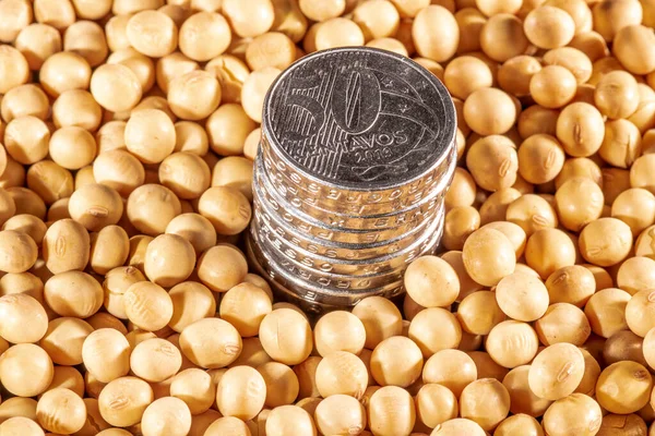 Soybean and brazilian Real money coins background in Brazil