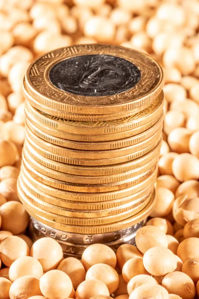 Soybean and brazilian Real money coins background in Brazil