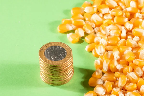 Corn grains and brazilian real coins on a green background in Brazil