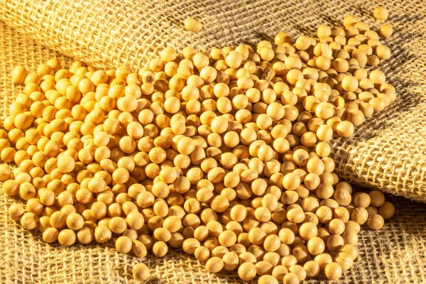 Brazilian Soybean Seeds Background Selective Focus — Stock Photo, Image