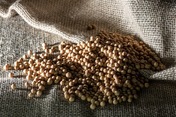 Brasilianische Sojabohnensamen Auf Jute Hintergrund Mit Selektivem Fokus Brasilien — Stockfoto