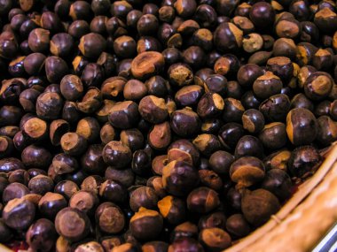 Guarana tohumları (Paullinia cupana) Sapindaceae Ailesi, Brezilya 'da seçici odaklı