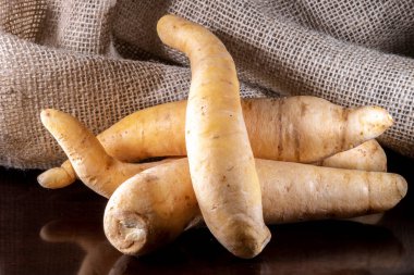 Patates baroası veya Mandioquinha (Arracacia xanthorrhiza), Brezilya 'daki stüdyoda çekilen jüt arka plan