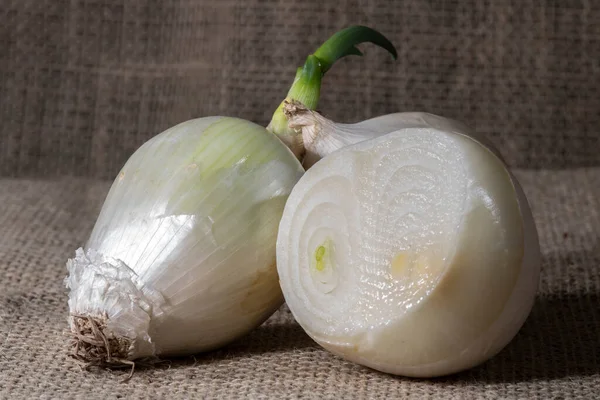 White Onion Jute Background Brazil — Stock Photo, Image