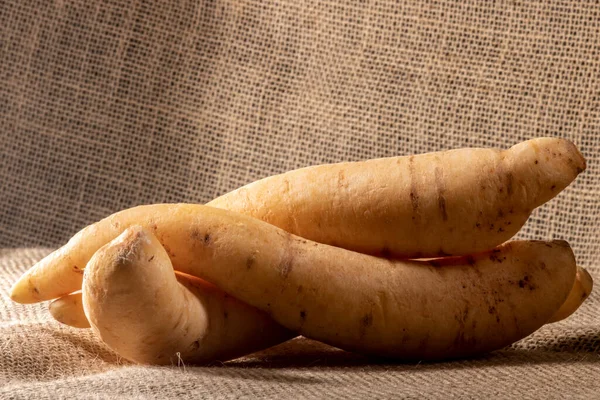 Patates Baroası Veya Mandioquinha Arracacia Xanthorrhiza Brezilya Daki Stüdyoda Çekilen — Stok fotoğraf