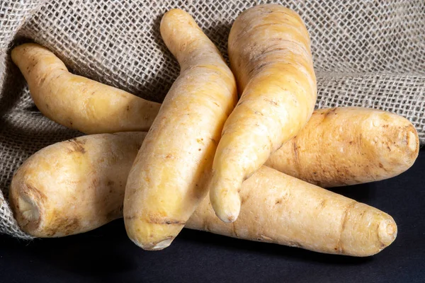 Patates Baroası Veya Mandioquinha Arracacia Xanthorrhiza Brezilya Daki Stüdyoda Çekilen — Stok fotoğraf