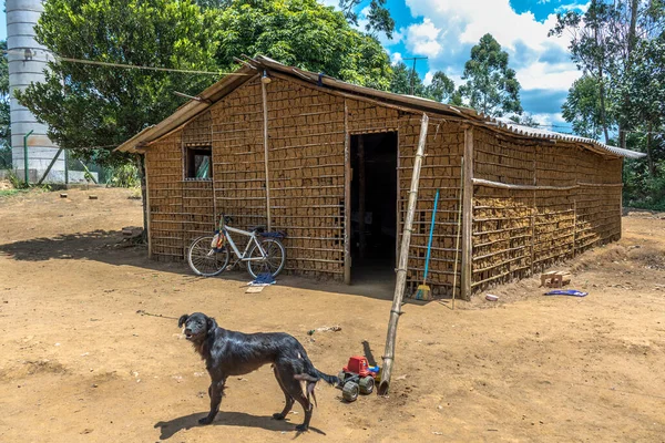 Brezilya Nın Kırsal Kesimine Bir Mızrak Paja Kilinden Yapılmış Bir — Stok fotoğraf