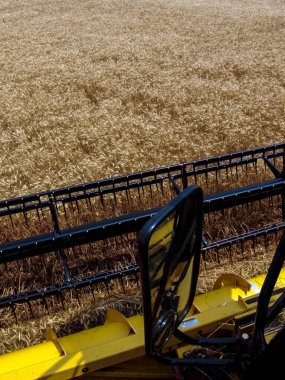 Bazil 'deki sarı buğday tarlasında hasatçıyı birleştir.