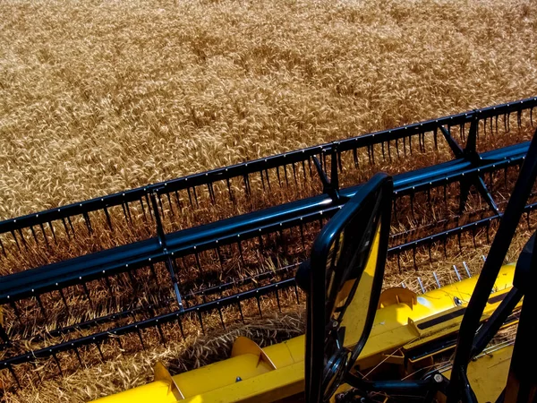 Combine Harvester Yellow Wheat Field Bazil — Stock Photo, Image