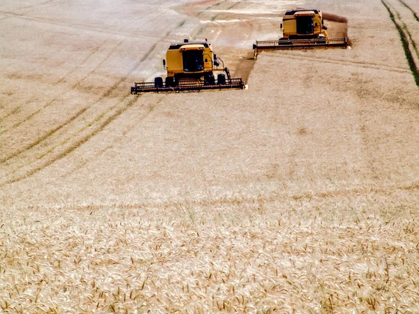 Combine Cosechadora Campo Trigo Amarillo Bazil — Foto de Stock