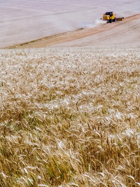 Colheitadeira Não Focada Campo Trigo Amarelo Bazil — Fotografia de Stock