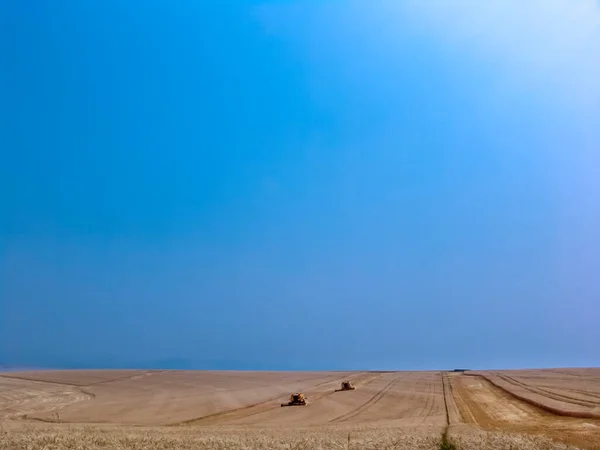 Combine Colheitadeira Campo Trigo Amarelo Bazil — Fotografia de Stock