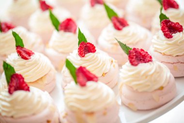 Orman meyve ve nane ile Pavlova tatlı yakın çekim