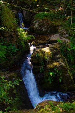 şelale orman Loire içinde