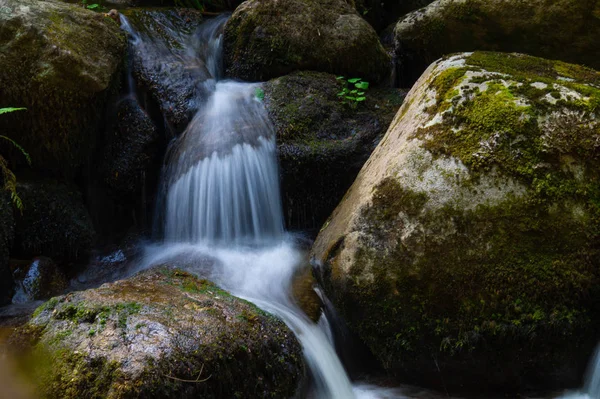 Cachoeira no Loire na floresta — Fotografia de Stock