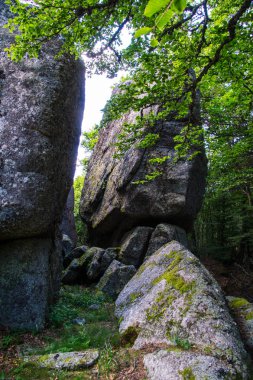 kaya folden, lozere, Fransa
