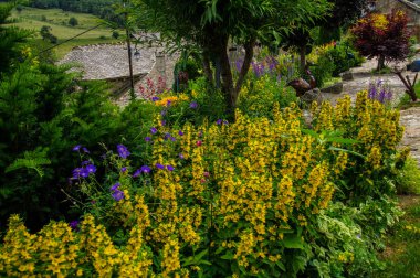 Panouse, Lozere, Fransa