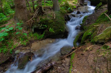 Comtamines Montjoie 'de Armancelle, Haute Savoie, Fransa