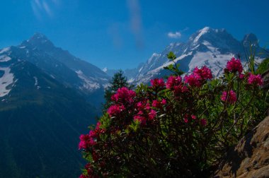 Cheserys, Argentiere, Chamonix, Haute Savoie, Fransa