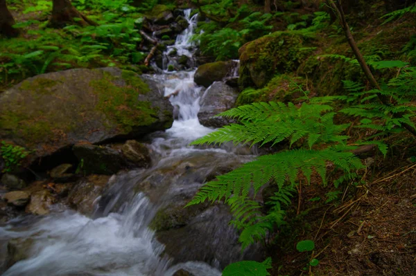 Combe armancelle in comtamines montjoie, haute savoie, france — Fotografia de Stock