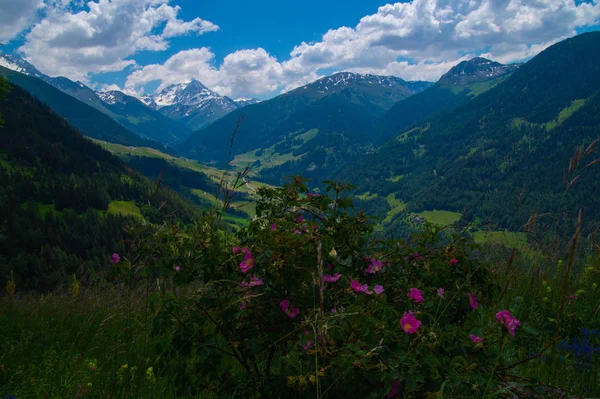 Commeire i Orsières, valais, Schweiz — Stockfoto