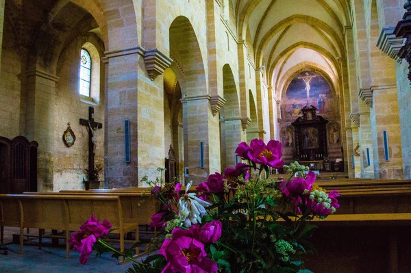 Abbeyl benisson dieu, loire, Fransa — Stok fotoğraf