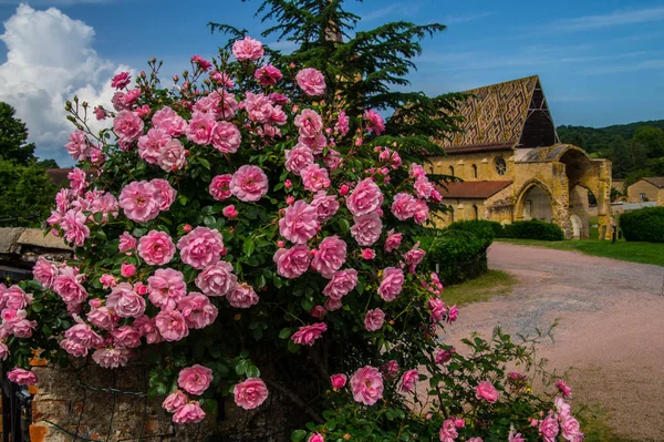 abbeyl benisson dieu, loire, Fransa