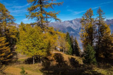 İsviçre Alplerinde sonbahar manzarası