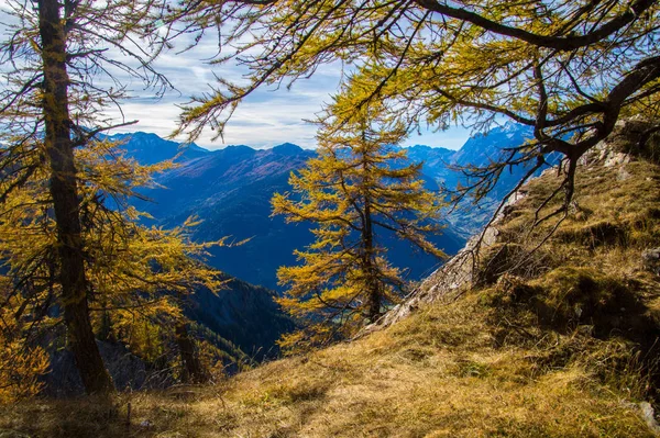 スイスアルプスの秋の風景 — ストック写真