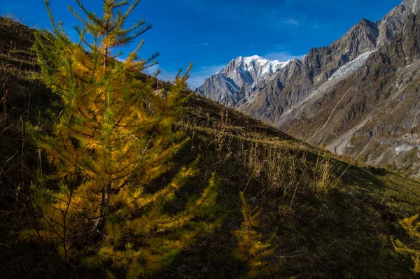 İtalyan Alpleri'nde sonbahar manzara