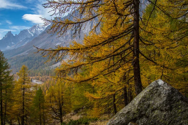 Paisaje otoñal en los Alpes italianos — Foto de Stock