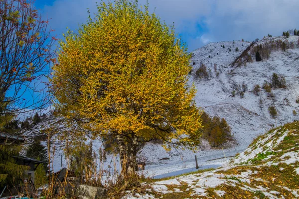 Paesaggio autunnale nelle Alpi francesi — Foto Stock