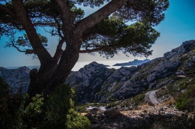 Milli Parkı Calanques