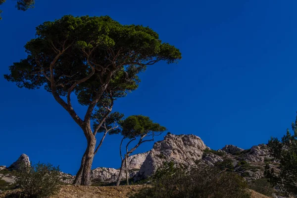 Parque Nacional Calanques — Foto de Stock