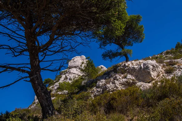 Parque Nacional Calanques — Foto de Stock