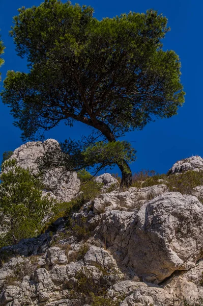 Parco Nazionale Calanques — Foto Stock